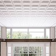 Потолочная панель для подвесного потолка “Square“ фотография