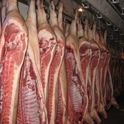 Мясо свинины полутуши глубокой заморозки фото
