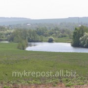 Большой земельный участок в экологически безопасном районе Нижегородской области