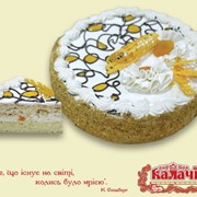 Бисквитно-ореховый торт Кураж от производителя фото