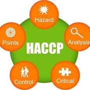 Пищевая безопасность - ISO-HACCP фотография