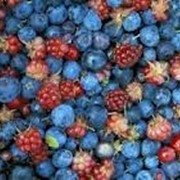Ягоды свежие, ягоды свежие оптом, ягоды от производителя оптом, купить ягоды.