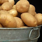 Продажа картошки оптом