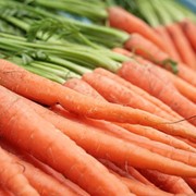 Морковь от производителя, продажа, Украина фотография