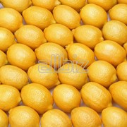 Лимоны Аргентина фотография