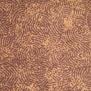 Коммерческие ковровое покрытие (саксони) Стек 170 фото