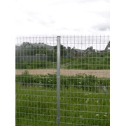 Забор из оцинкованной сетки сварной фото