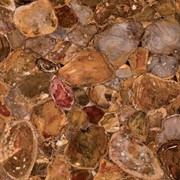 Полудрагоценный камень Petrified Wood