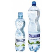 Питьевая вода СЕНЕЖСКАЯ газированная, 0,5л (упаковка 12 шт)
