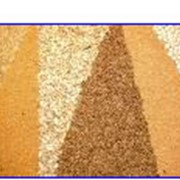 Зерно (зерновые). Продажа пшеницы, кукурузы.Зирнемлын, ЧП фото