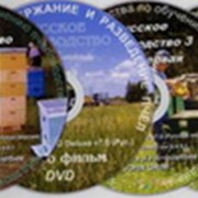 Продаю CD\DVD фильмы по пчеловодству фото