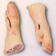 Ножки свиные фото