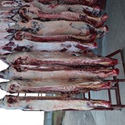 Мясо яловичини охолоджене 1 категорії; Мясо говядины первой категории полутуша фото
