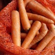 Морковь свежая фото