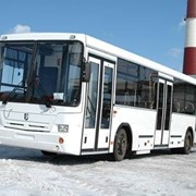 Автобусы городские НЕФАЗ-5299-0000010-32 с местами для инвалидов фото