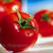 Помидоры (томаты) свежие продажа, опт Украина