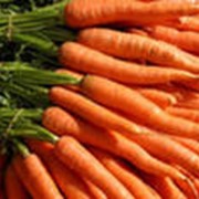 Морковь сладкая отборная фото