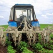 Культиватор-грядообразователь КГО-3,0 фото