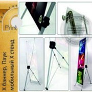 Х баннер - Паук, 1,8х0,8 фото