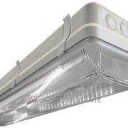 Светильник светодиодный промышленный TL-ЭКО 236/30 PR IP65 (S5E)