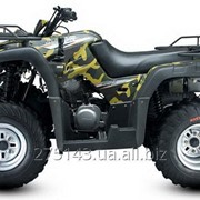 Квадроцикл Jianshe 250 ATV-5 Wild Cat фото