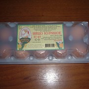 Упаковка для яиц универсальная 10 - ти местная (матовая) фото