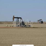 Нефтегазодобывающее оборудование фото