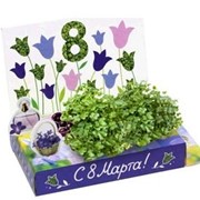 Колокольчики Живая открытка Happy Plant наборы для выращивания