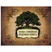 Книга АСТ Наша семейная родовая книга фото