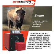 Protherm (Протерм) Бизон 60 NL, 59,70 кВт, дымоход