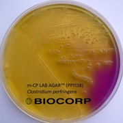 Водная микробиология - питательные среды Biocorp (Польша)