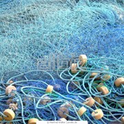 Рыболовные сети фото