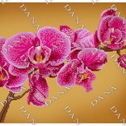 Схема для частичной вышивки бисером Орхидея фото