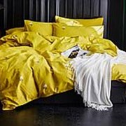 Комплект постельного белья ПМ: Яньтекс КПБ Сатин-С54 фото