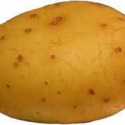 Картофель сортовой