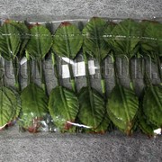 Листья зеленые 4 см/144 шт 7437