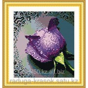 Картина стразами Фиолетовая роза-2 22х24 см фотография