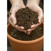 Анализ почвы на плодородие (анализ грунта тепличного) фото