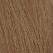 9.8 Золотисто-медный креольский очень светлый блондин 100мл фото