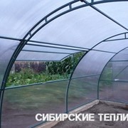 Усиленные каркасы теплиц фотография