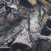 Ткань Понж-Флис Камуфляж С-26 (дублированная) фото