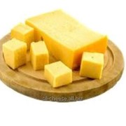 Сыр «Гауда» 8 кг фото