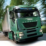 Автомобили грузовые Iveco фото