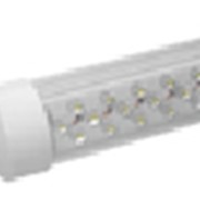 Светодиодная трубка BIOLEDEX T8 60 см 6000К, SMD LED
