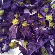 Мальва цветы, бутоны сушеные (Malva sylvestris) фотография