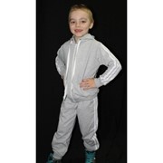 Спортивный костюм детский 00140 фотография