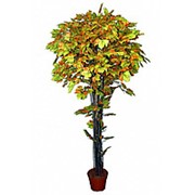 Искусственное дерево Клен Дарелл желт-зел (Код товара: 5792-1) фото