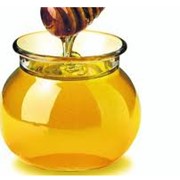 Мед цветочный.Мед липовый. Мед, продукты пчеловодства, мед майский, мед цветочный, мед акация, мед липа, мед гречка. Прополис. Пчелиная пыльца. Маточное молоко. Пчелиный яд. Подмор (тело пчелы).