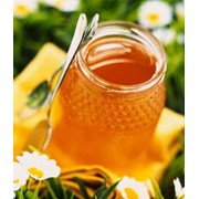 Мёд пчелиный фотография