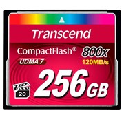 Карта памяти Transcend CompactFlash 800X 256Gb (TS256GCF800) фото